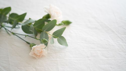 Svag rosafärgad blomma med grön stjälk mot vit duk till begravning